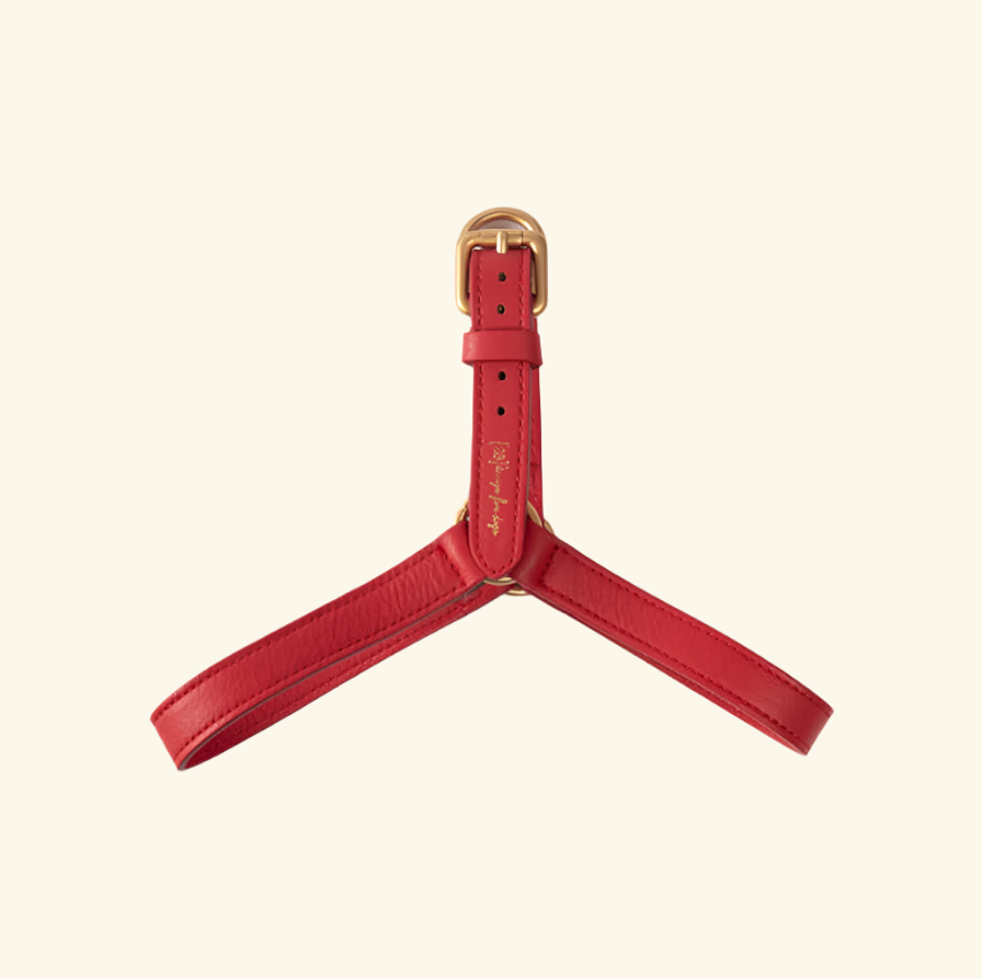 MARIO Harness