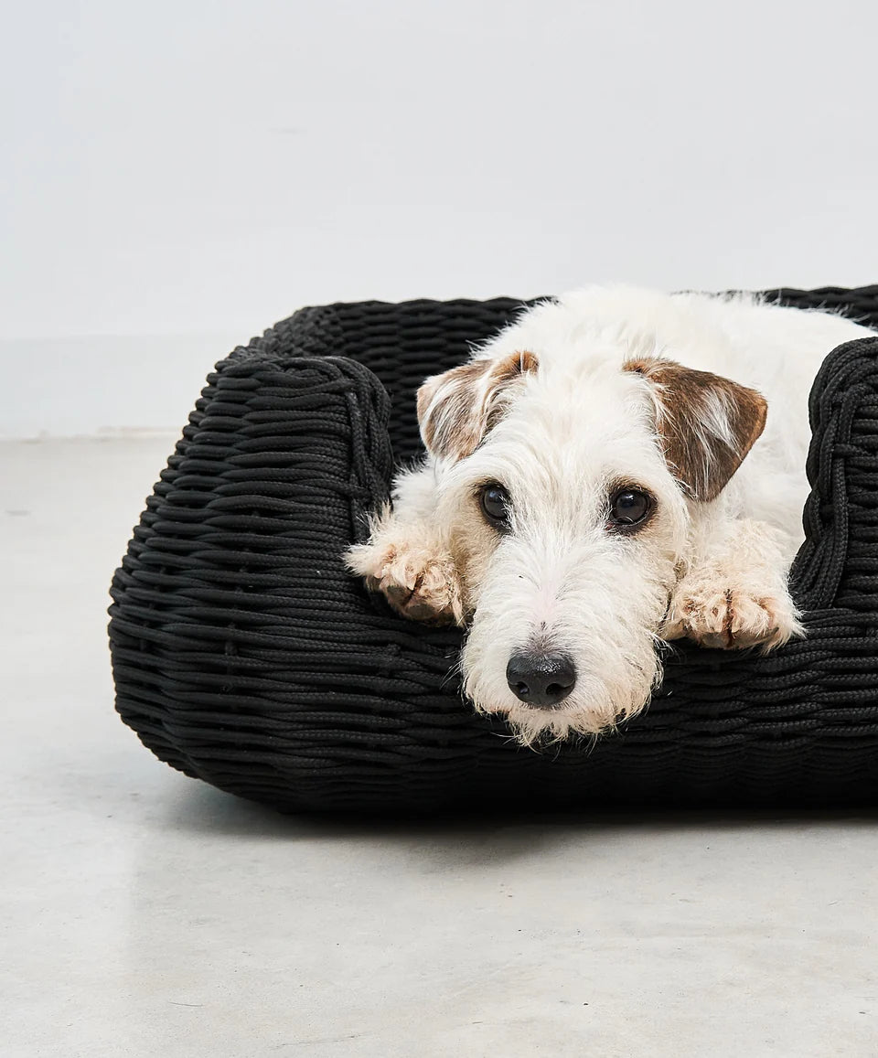 Mio Dog Basket