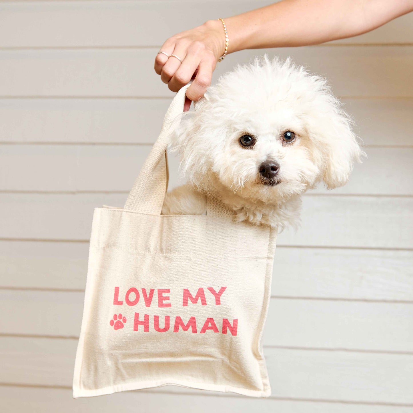 LMH Tote Bag