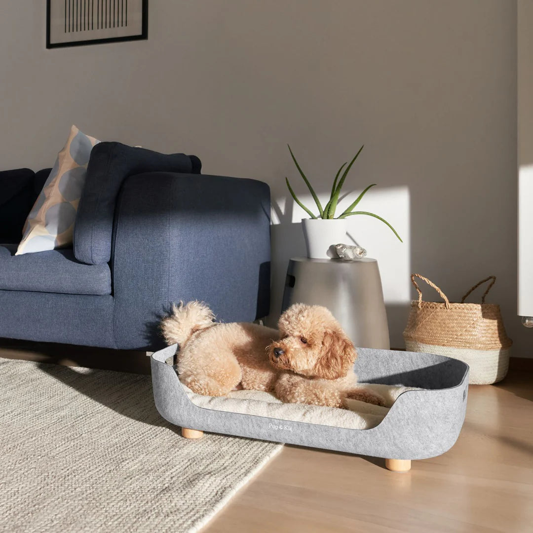 PetNest Felt Dog Bed