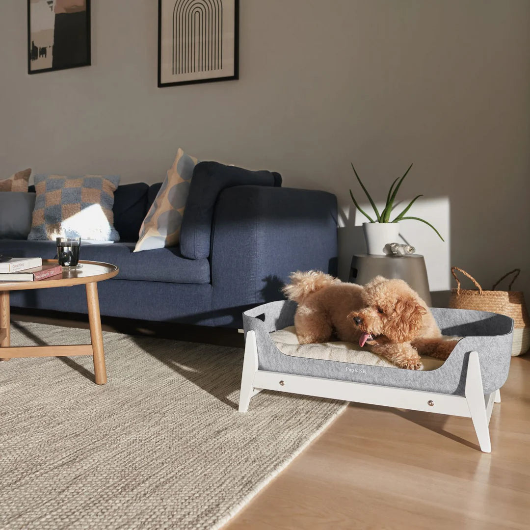 PetNest Grey with Stand White