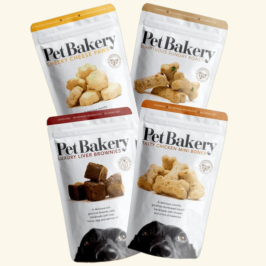 Pet Bakery Biscuits