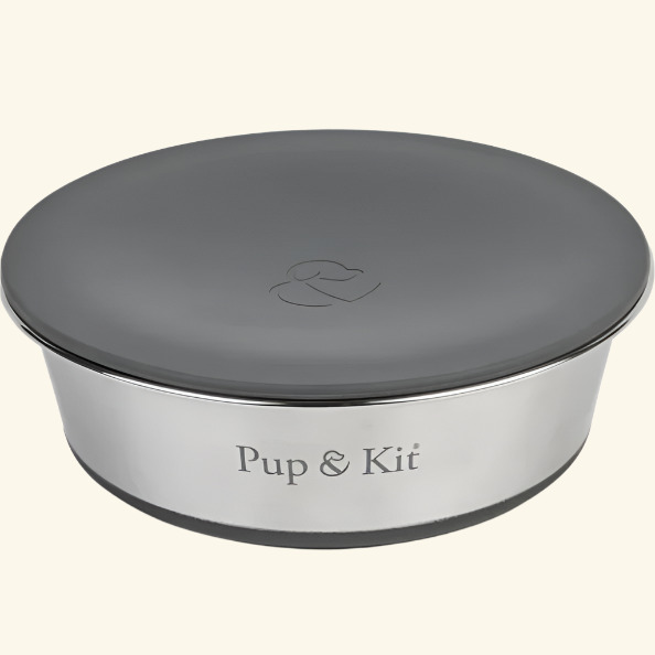 Lid-it bowl