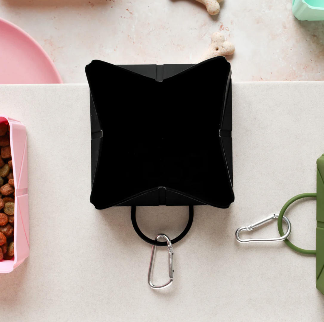 Foldable Travel Bowl