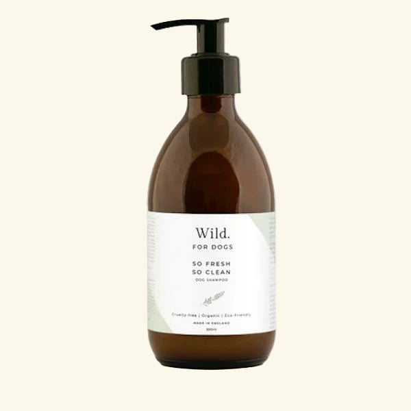So Fresh So Clean Shampoo