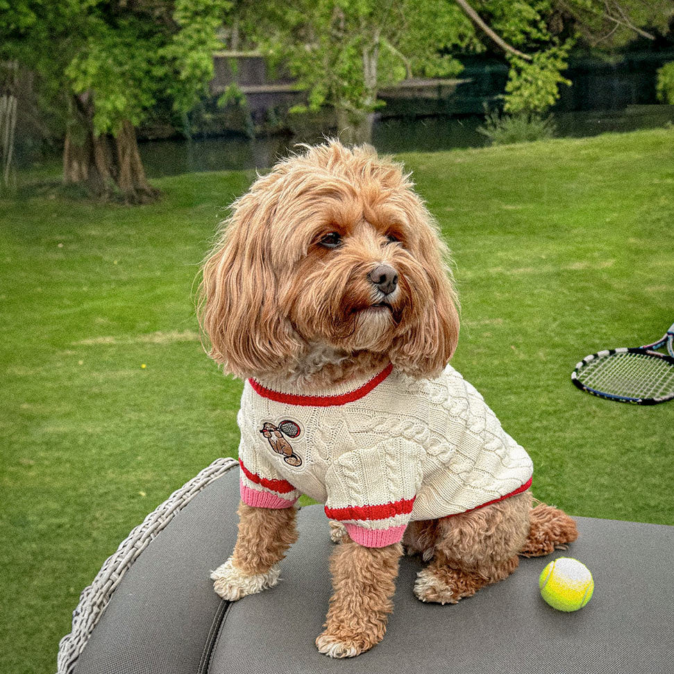 Canine Sporting Knit