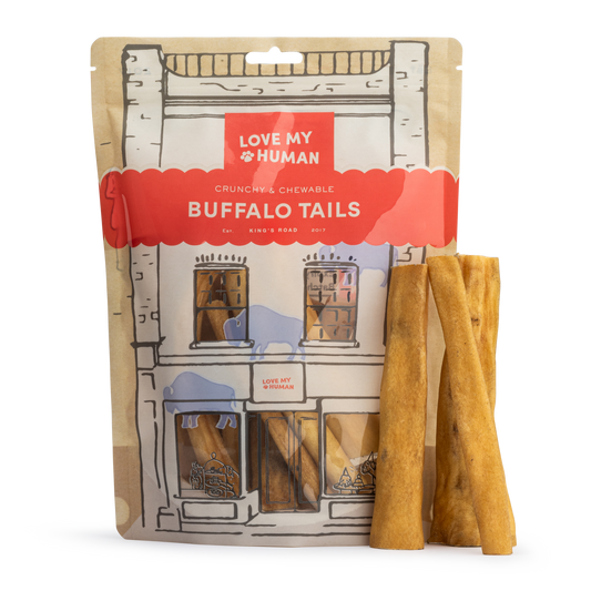 Buffalo Tails - Love My Human