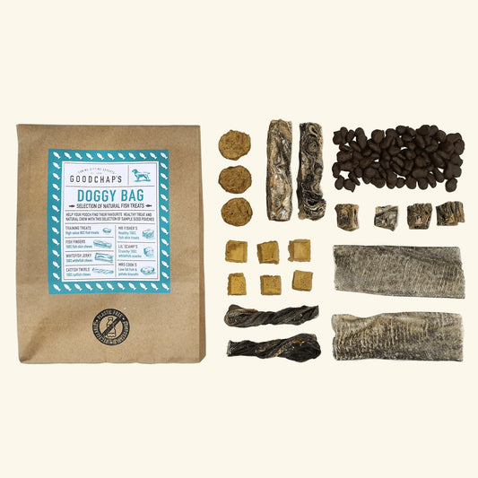 Doggy Bag of Treats