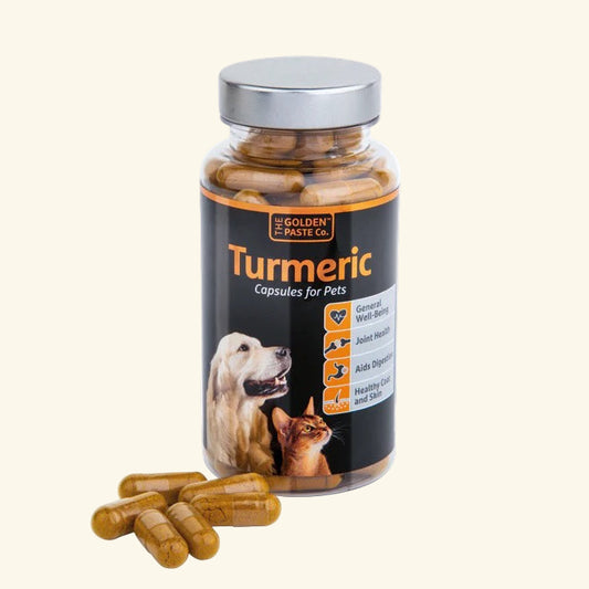 Turmeric Capsules for Pets